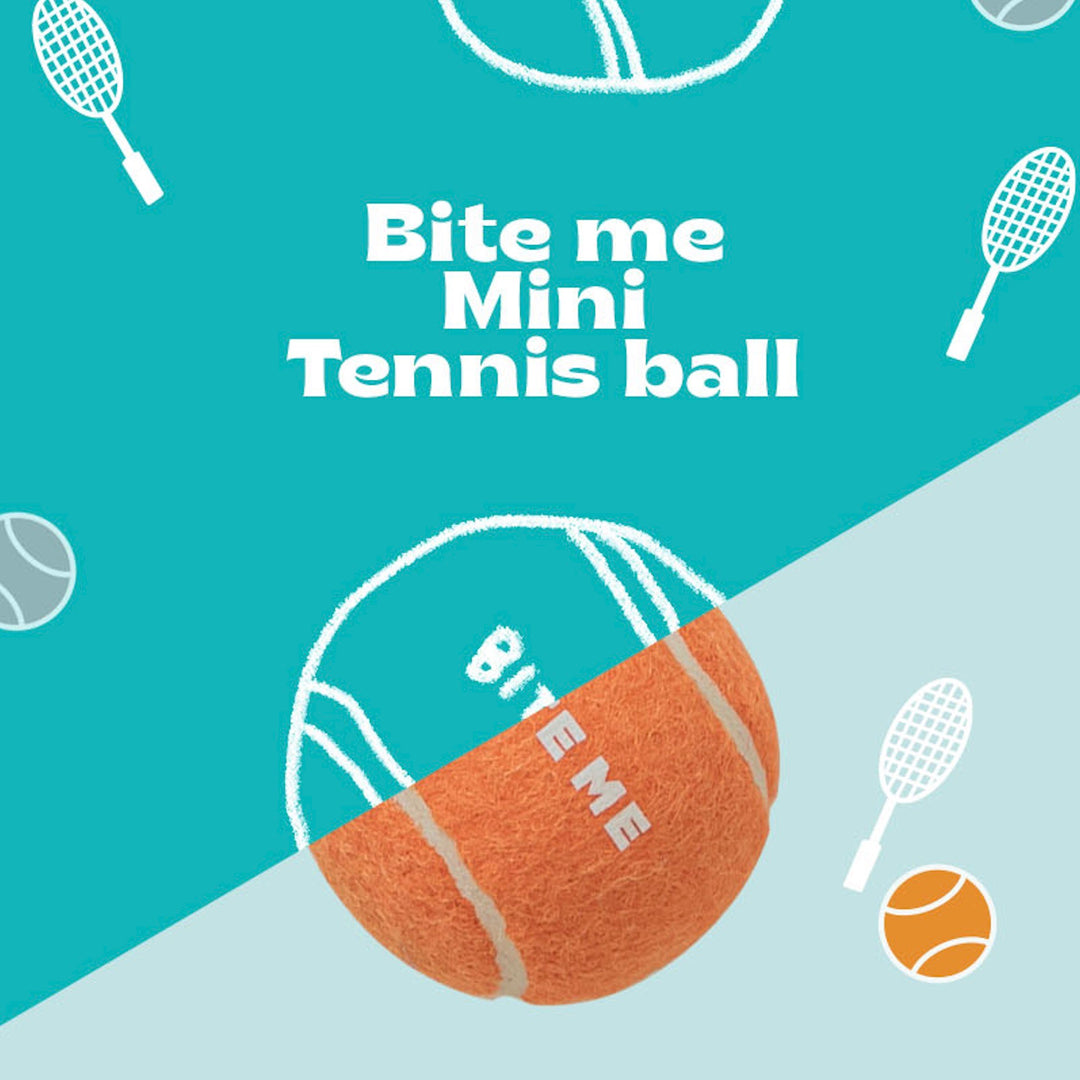 即納【BITE ME】Mini Tennis Ball Toy 3 pieces