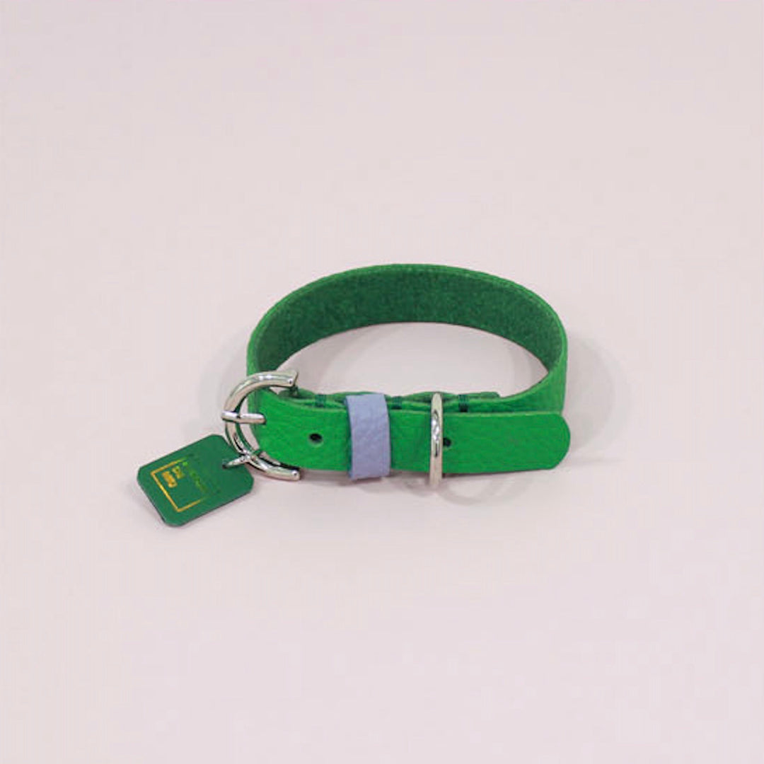 ※予約販売【maison de miu】Pet Collar (Green / Violet)