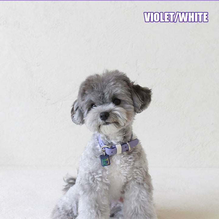 ※予約販売【maison de miu】Pet Collar (Violet / White)