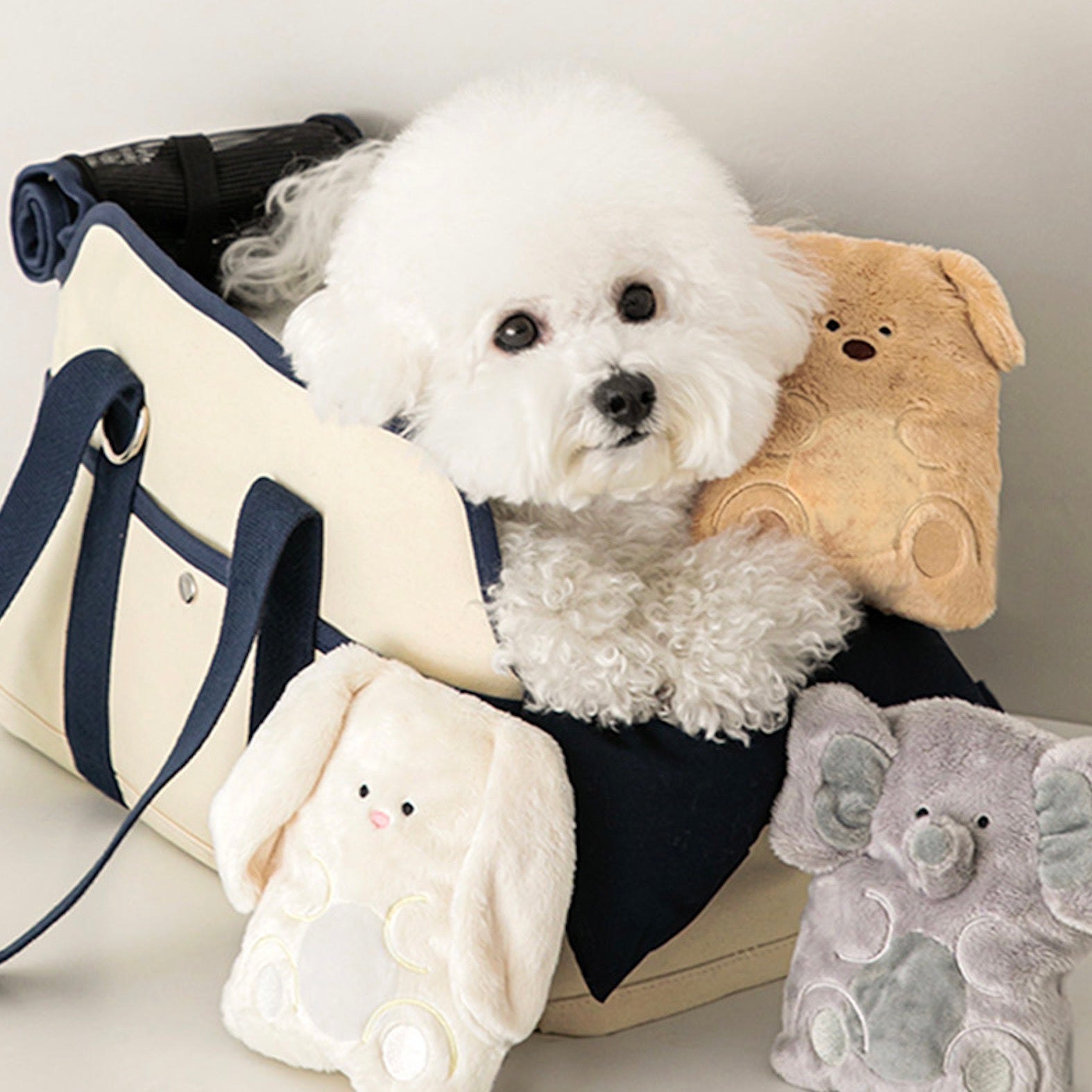 海外犬服 高品質なインポートのドッグウェア通販 