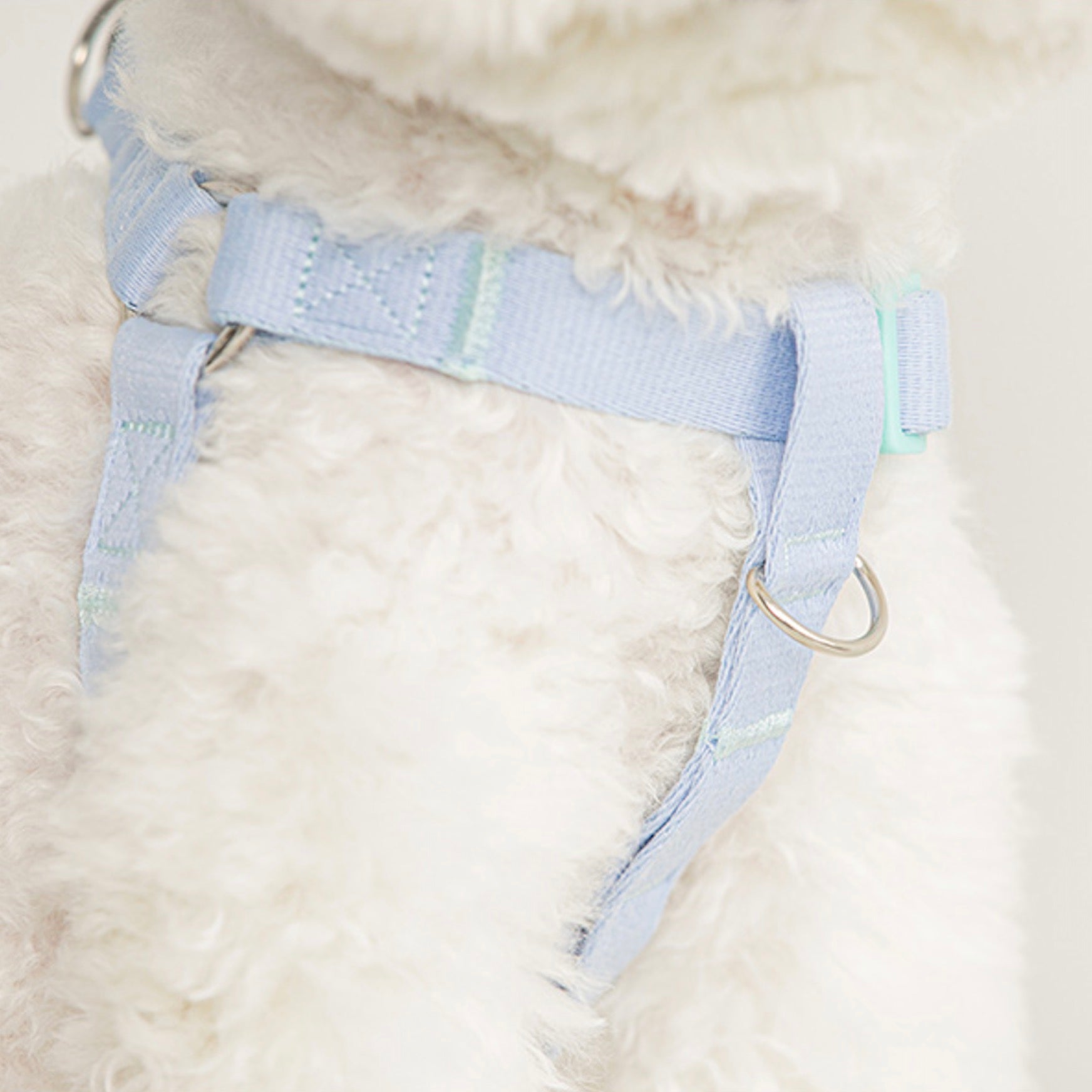 海外犬服 高品質なインポートのドッグウェア通販 