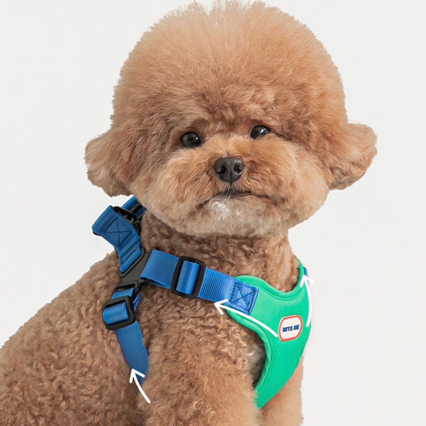 海外犬服 高品質なインポートのドッグウェア通販 