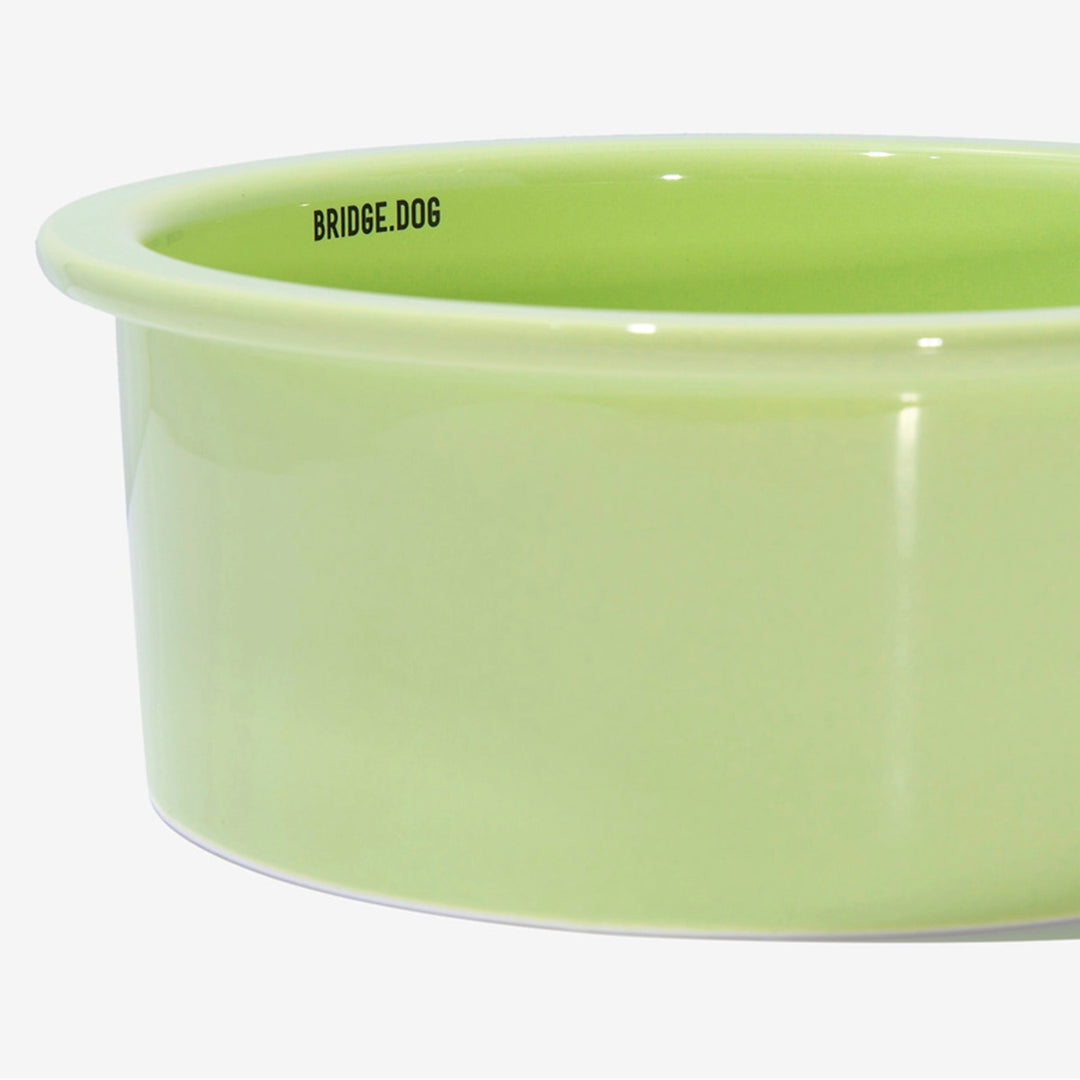 即納【BRIDGE.DOG】BRIDGE BIG BOWL 18cm（BABY GREEN）艶あり