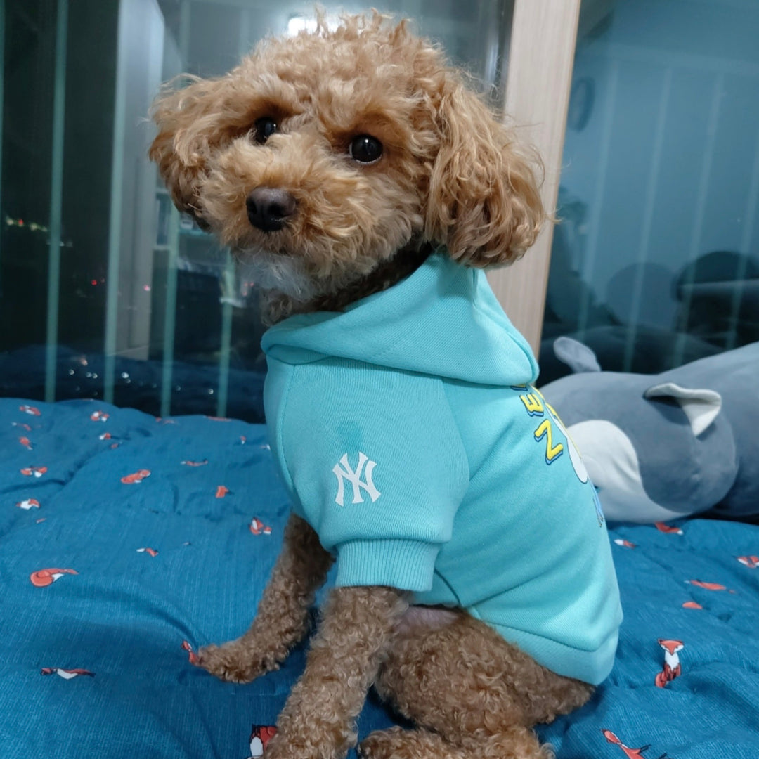 ※予約販売【MLB KOREA】MLB LIKE hoodie（Mint）