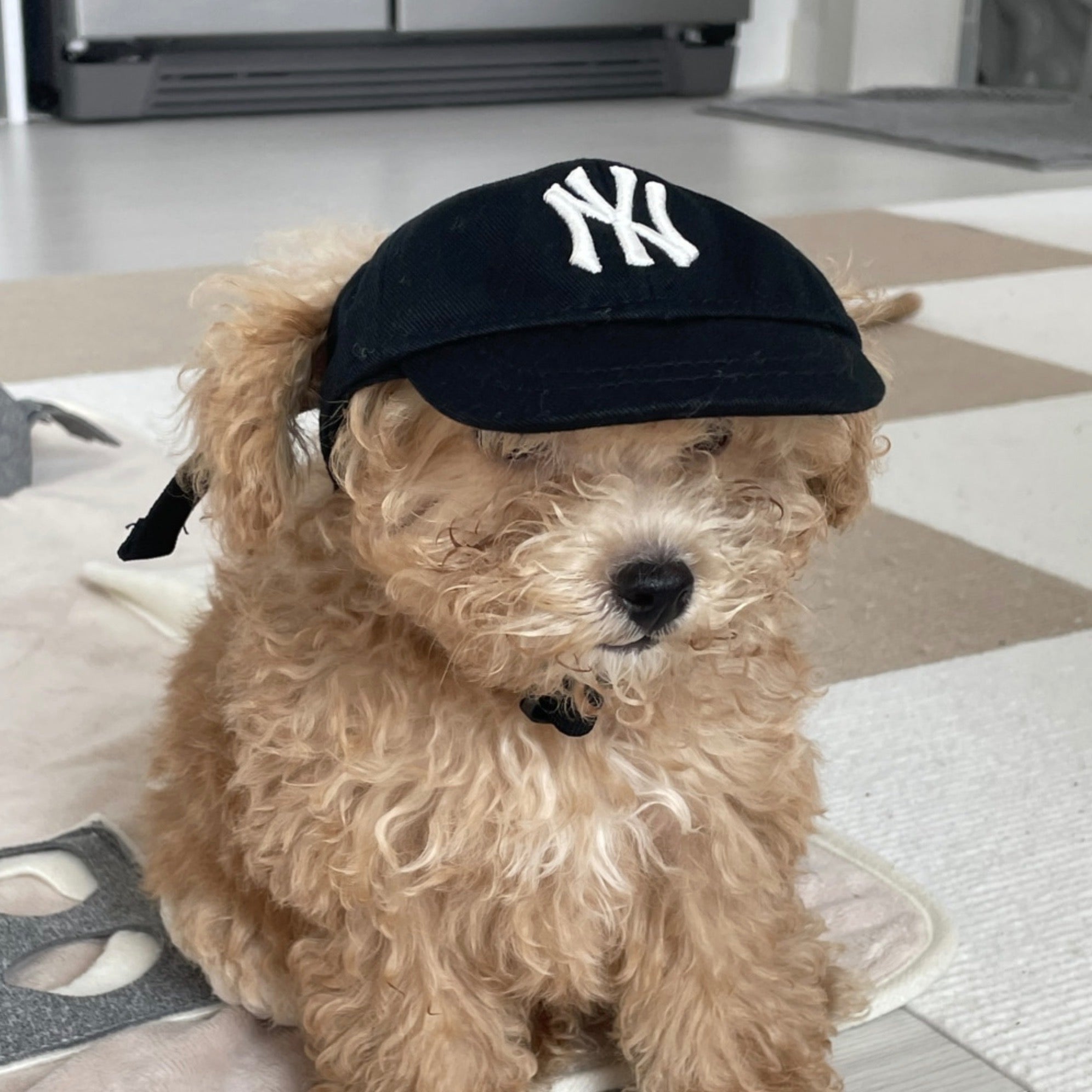【新品】可愛い♡ベースボールキャップ　犬　服　ドッグウェア　帽子　MLB 犬用