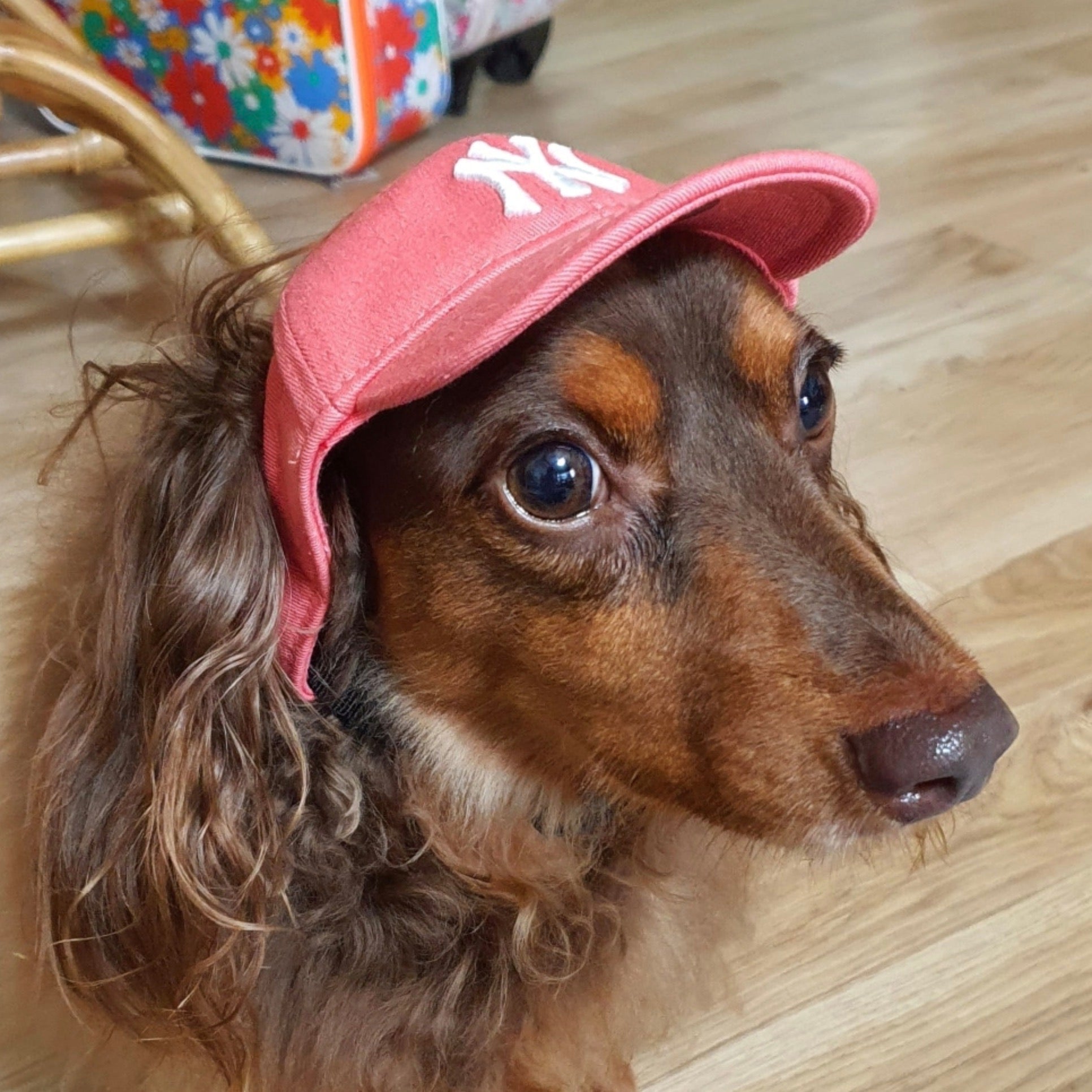 ※予約販売【MLB KOREA】MLB Basic Logo Cap（Coral）