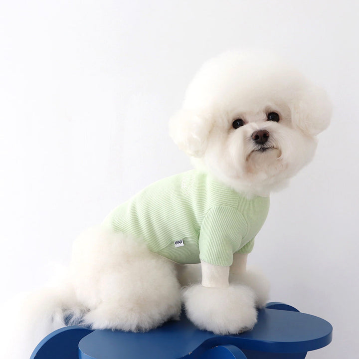 ※予約販売【Chiot】Sherbet waffle T-shirt（Melon green）