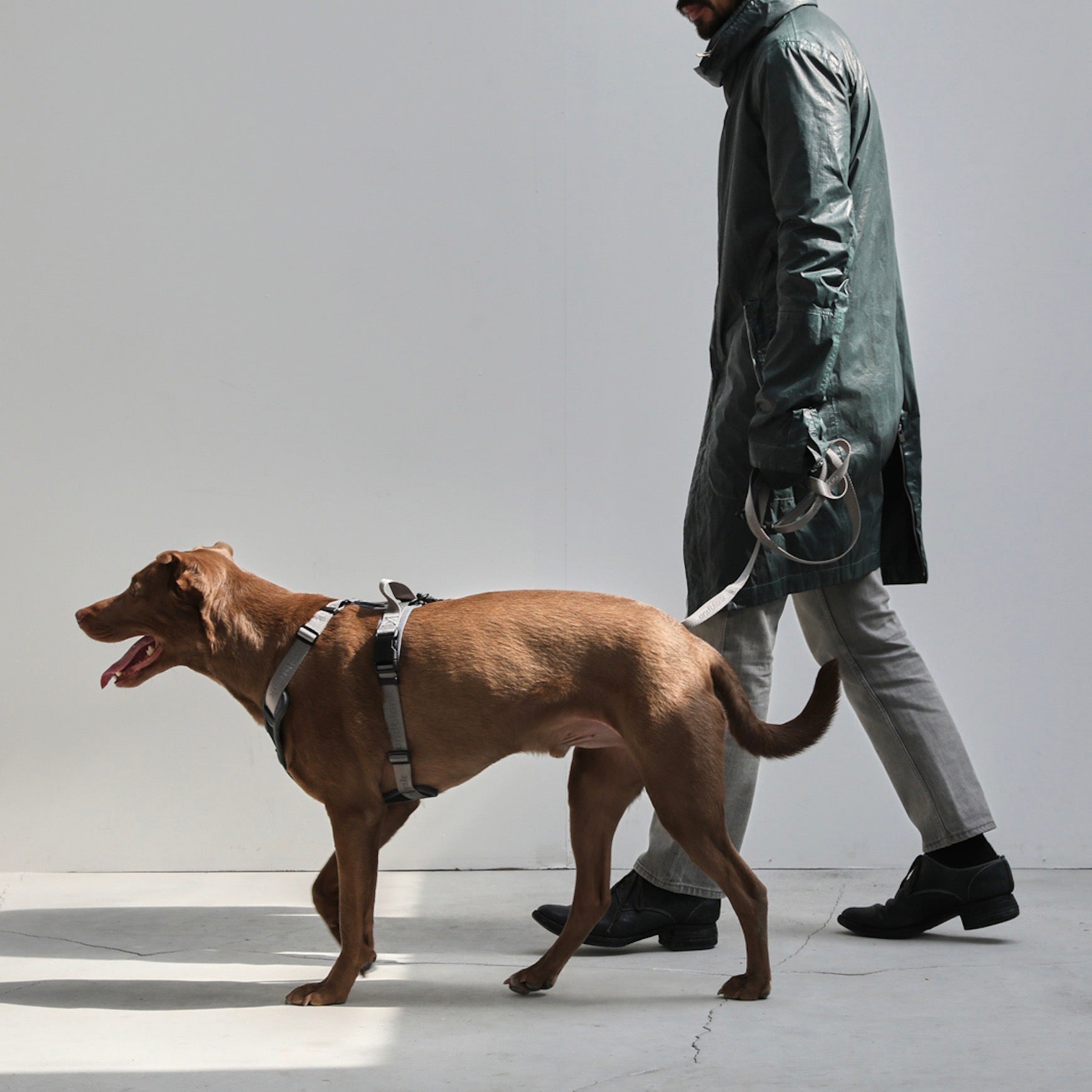 海外犬服 高品質なインポートのドッグウェア通販 