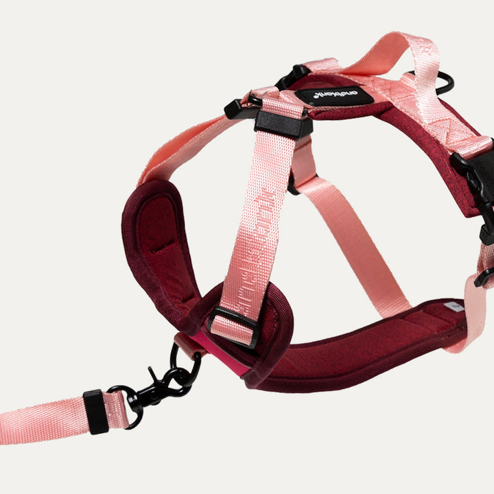 ※予約販売【andblank】Essential Pro Harness（Pink）