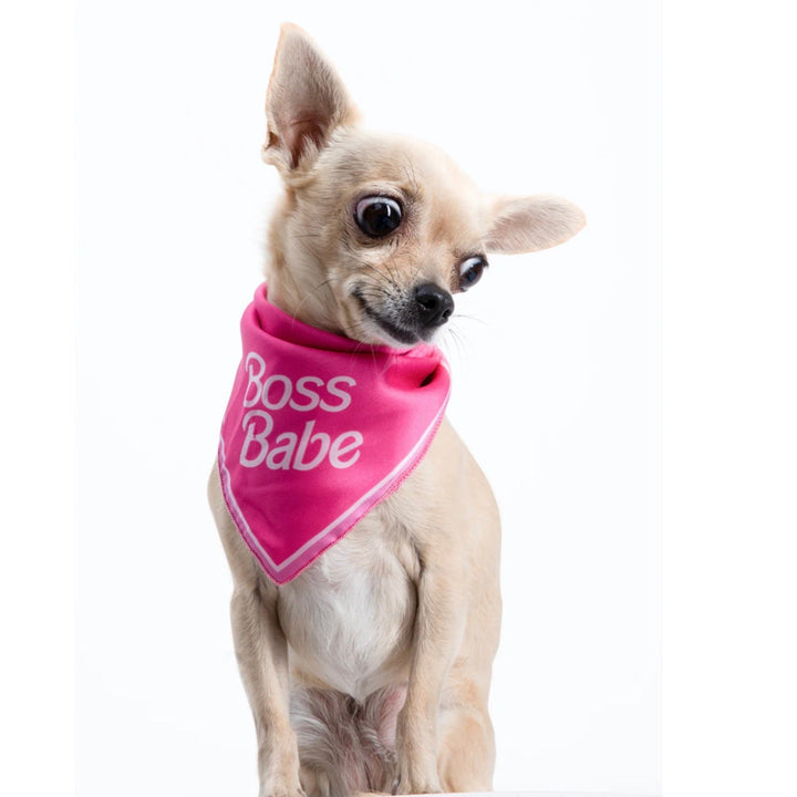 ※予約販売【MOSHIQA】Paris Collection Boss Babe Dog Bandana