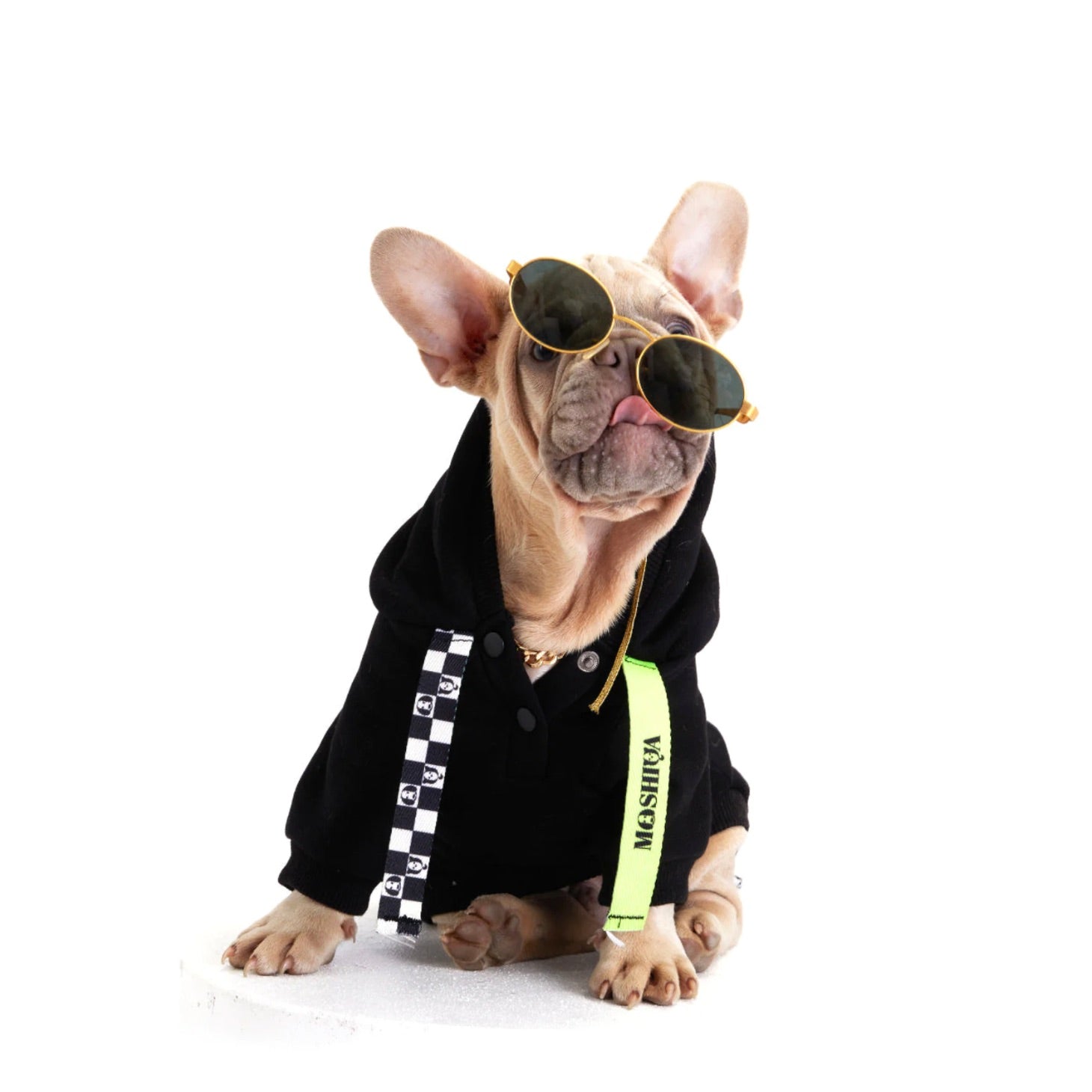 Moshiqa（モシカ） – URBAN DOG TOKYO