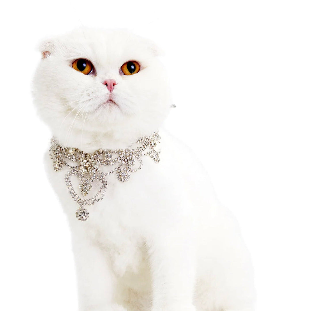 ※予約販売【MOSHIQA】Christian Cowan Cat Necklace