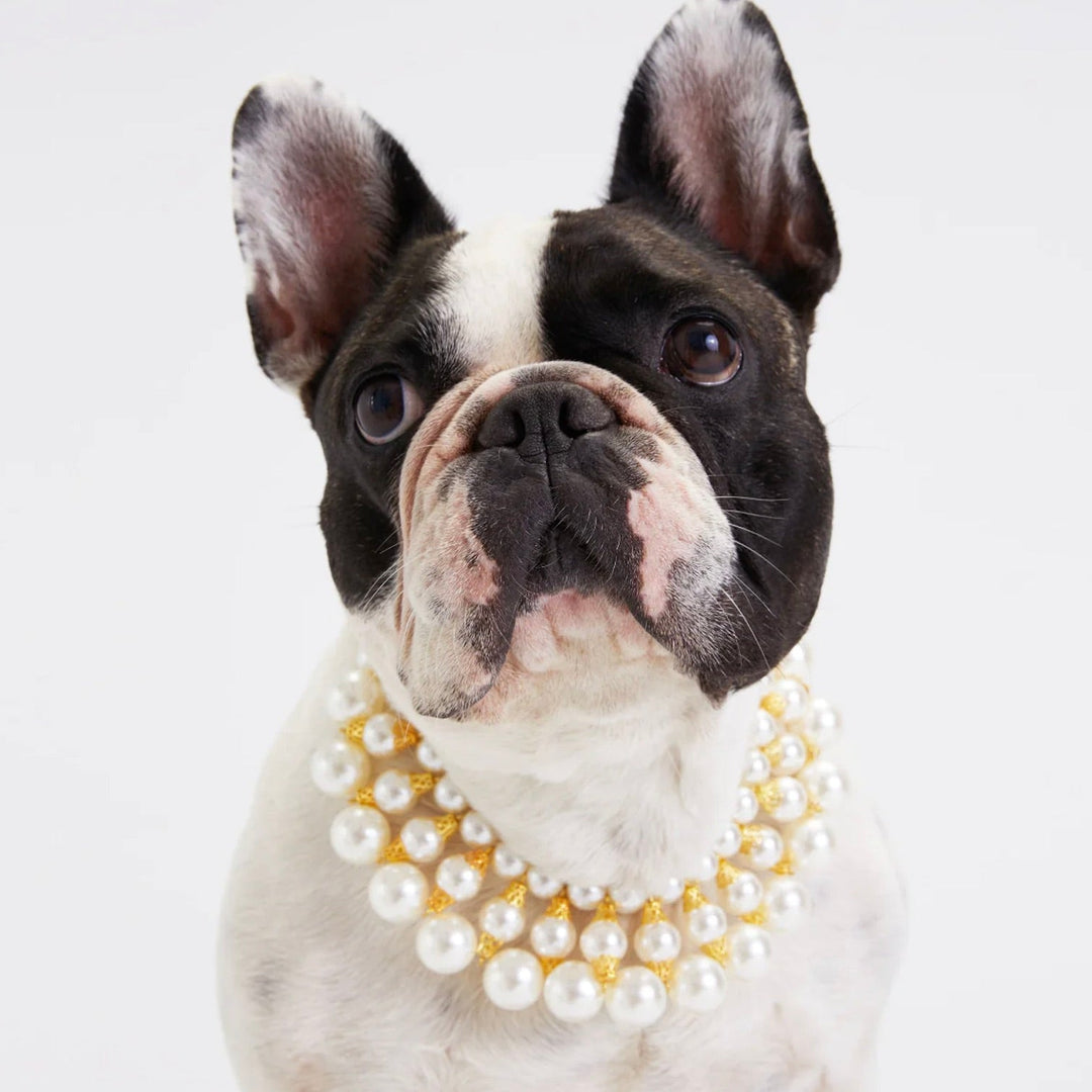 ※予約販売【MOSHIQA】Dubai Dog Necklace