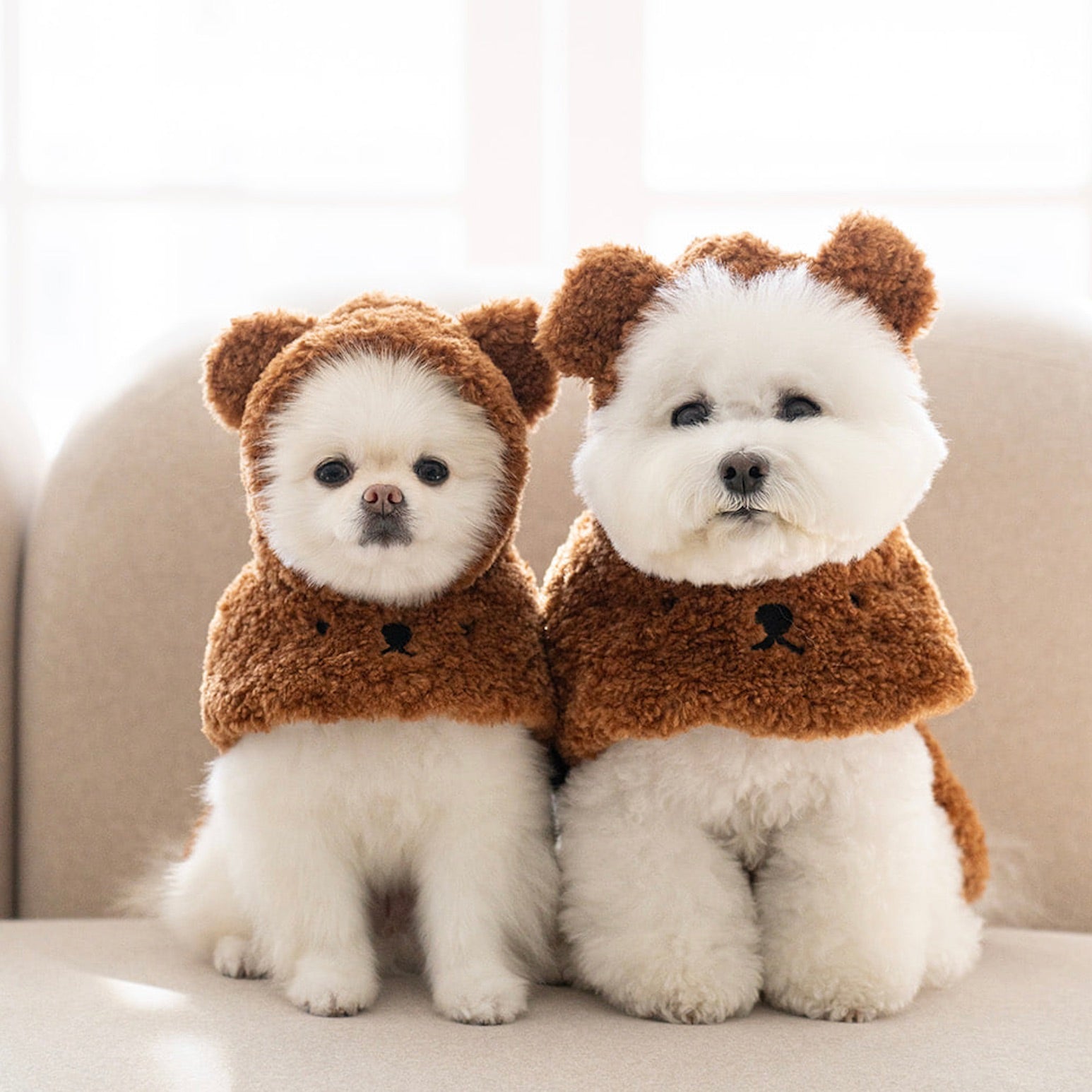 オーダー受付 デニムポケット トイプードル ご予約ページ 8/22 【公式