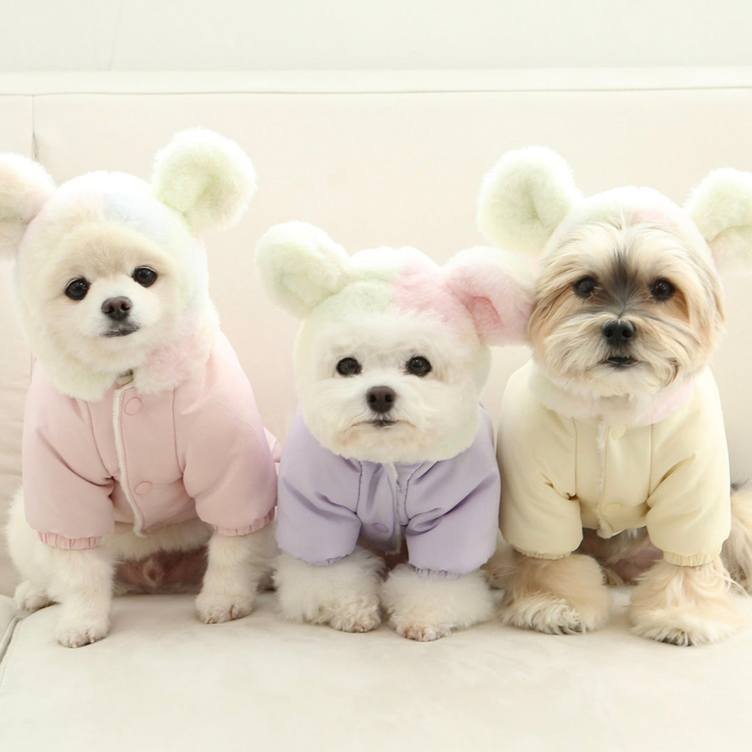 ※予約販売【ITS DOG】Cotton Candy Bear