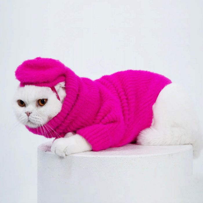 ※予約販売【MOSHIQA】Paris Collection Loves It Cat Sweater & Hat