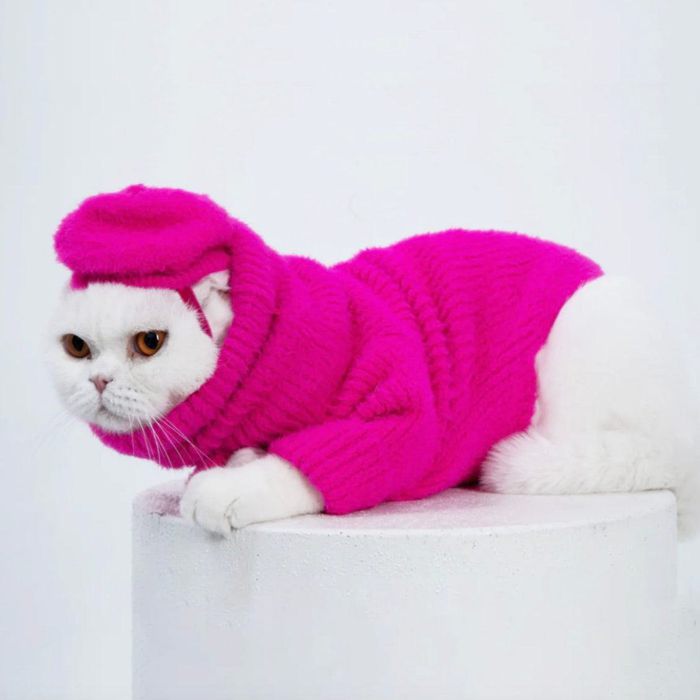 ※予約販売【MOSHIQA】Paris Collection Loves It Cat Sweater & Hat