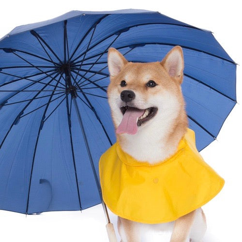 即納【BETTERS】rain coat poncho
