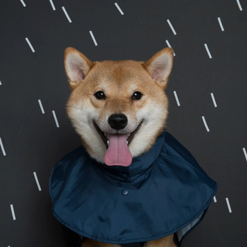 即納【BETTERS】rain coat poncho