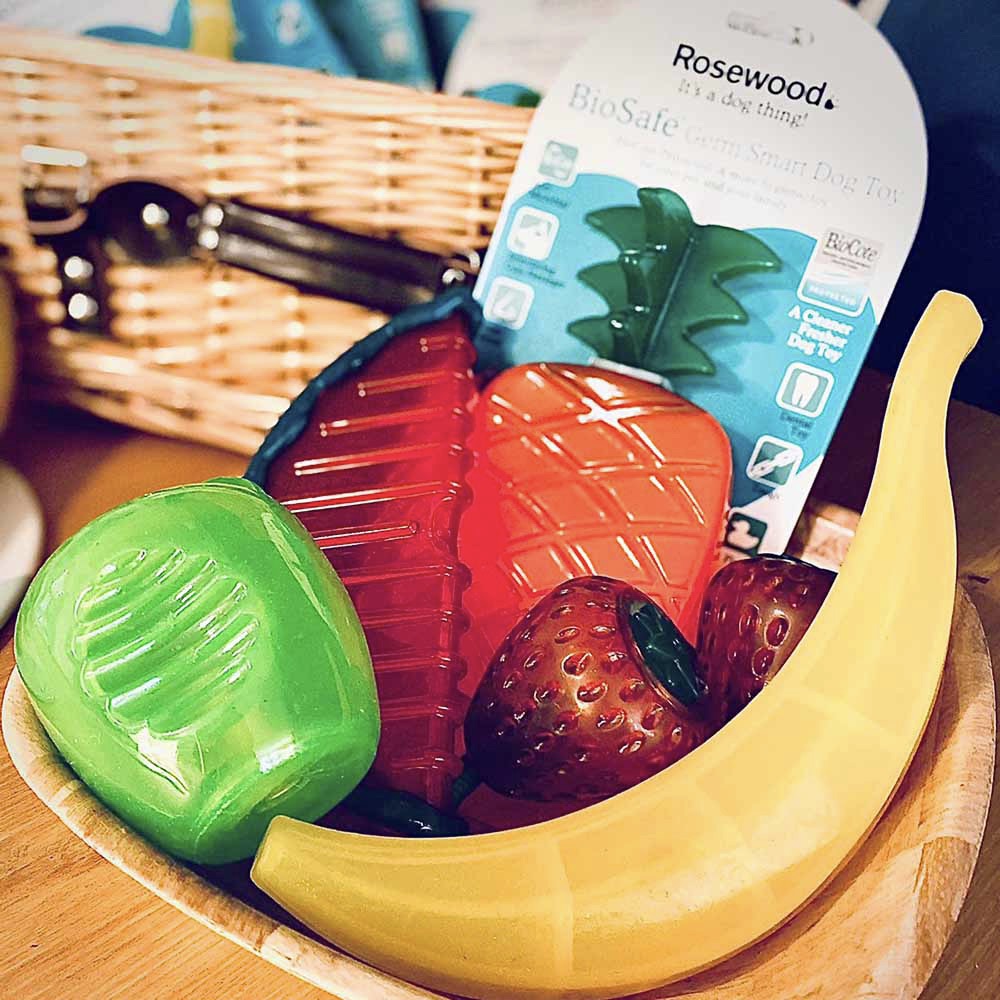 ※予約販売【Rosewood】Biosafe toy（fruit Pineapple）