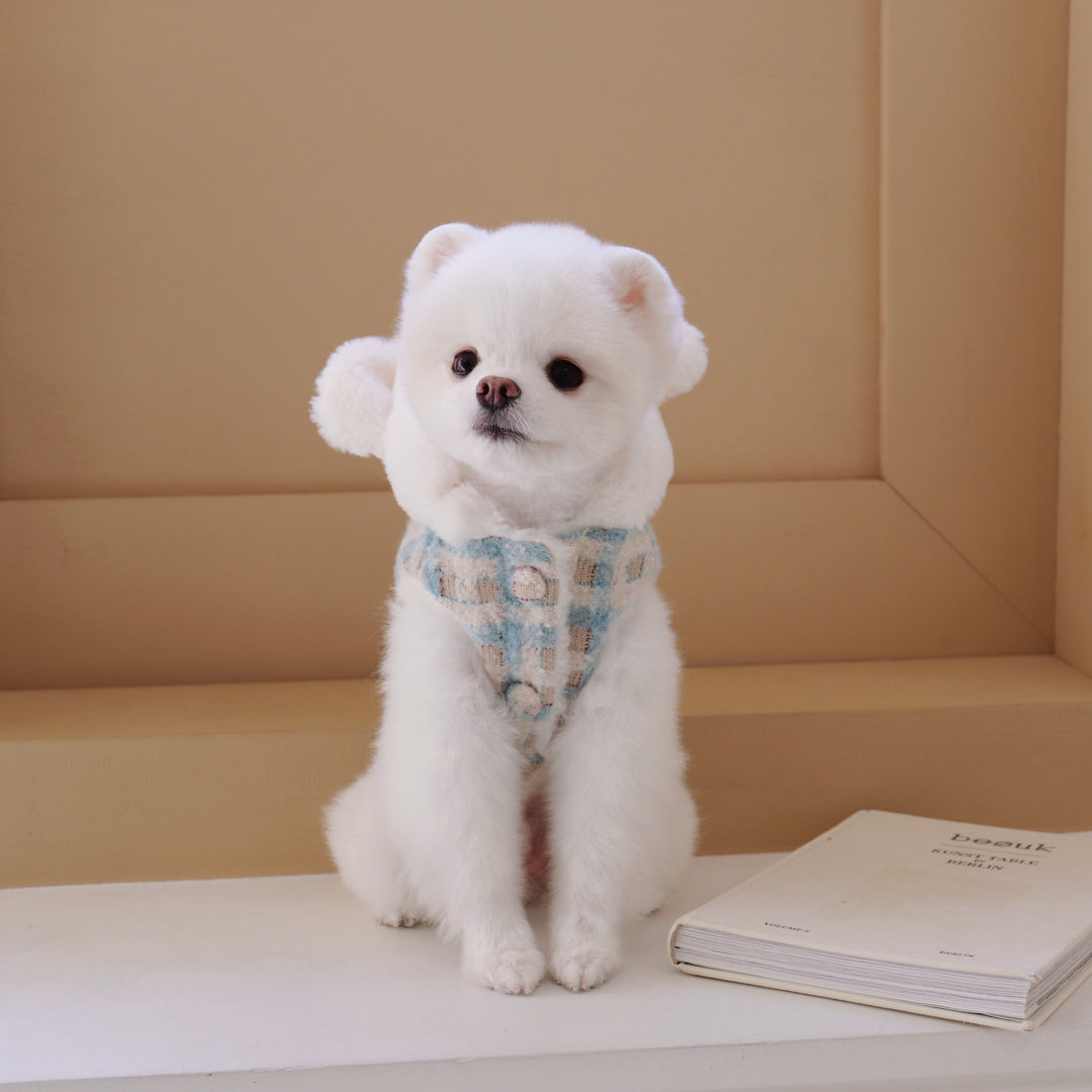 ※予約販売【Hi Yeboo】White Bear（ターコイズ）