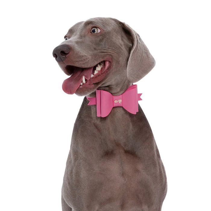 ※予約販売【MOSHIQA】Paris Collection Metapink Bow Dog Collar