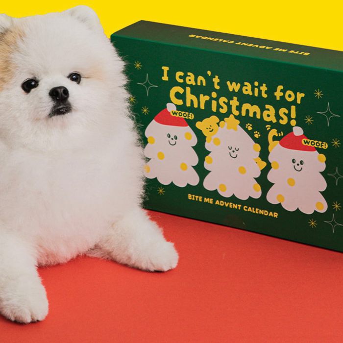 即納【BITE ME】Advent Calendar Toy Set