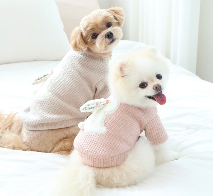 ※予約販売【ITS DOG】Baby Bunny Knit T-shirt