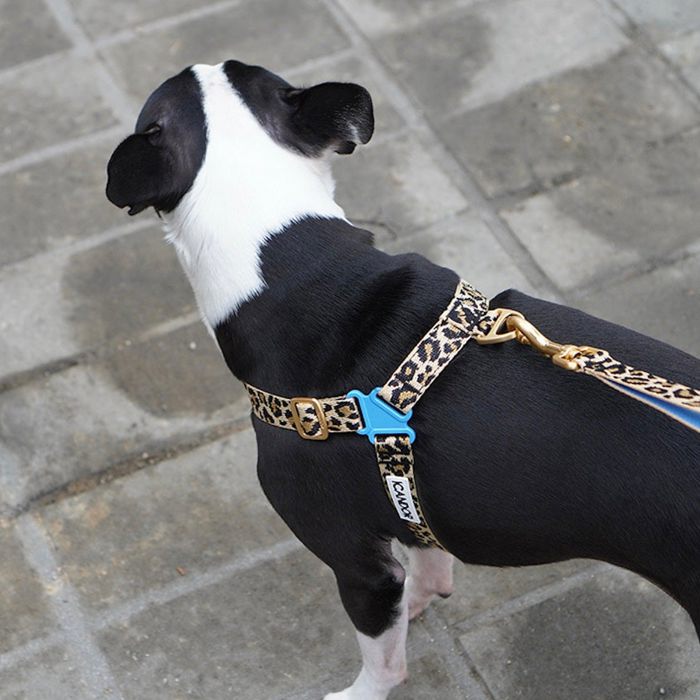 海外犬服 高品質なインポートのドッグウェア通販 