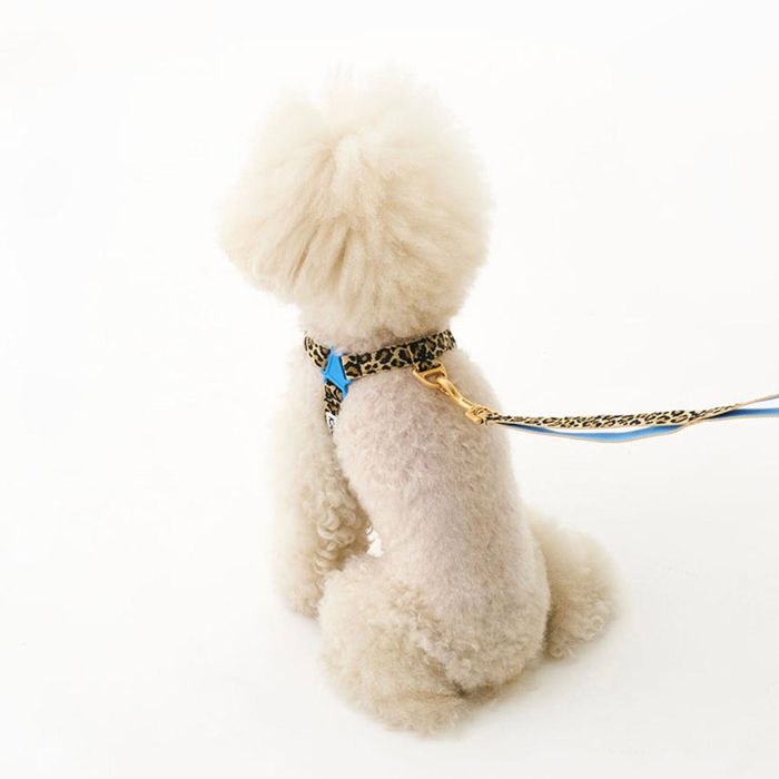 海外犬服 高品質なインポートのドッグウェア通販 