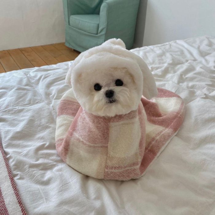 即納【Hi Yeboo】Wool Check Blanket Cape（White Bunny）
