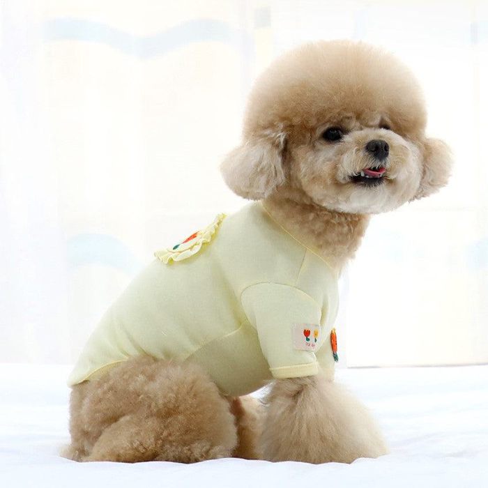 ※予約販売【ITS DOG】Chouchou Frill T-shirt