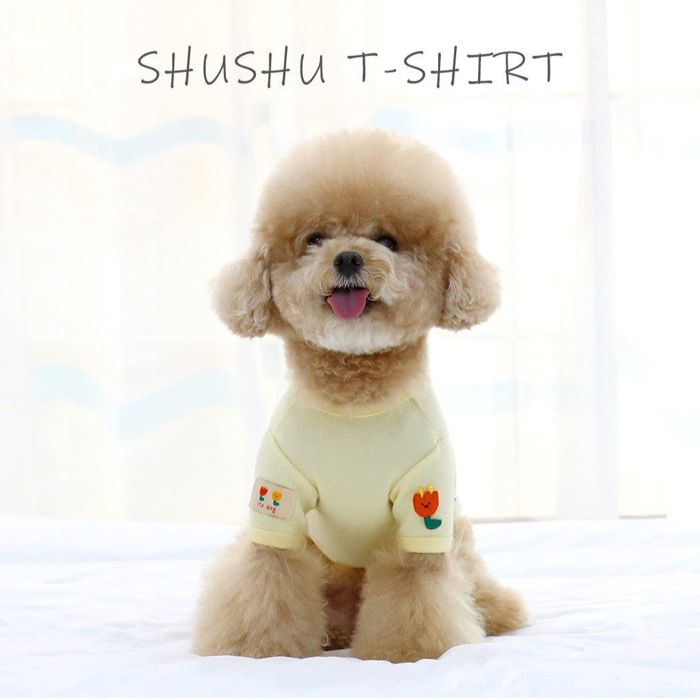 ※予約販売【ITS DOG】Chouchou Frill T-shirt