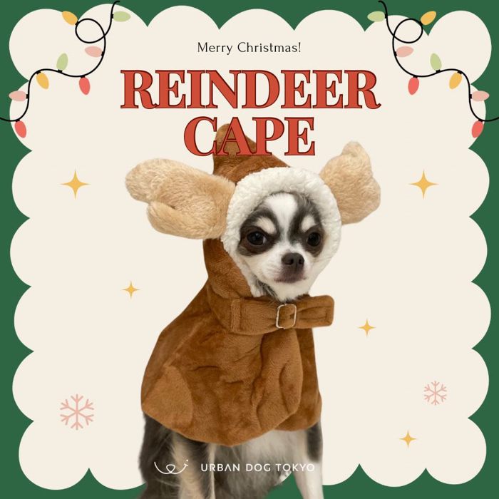 即納【Original】Reindeer Cape