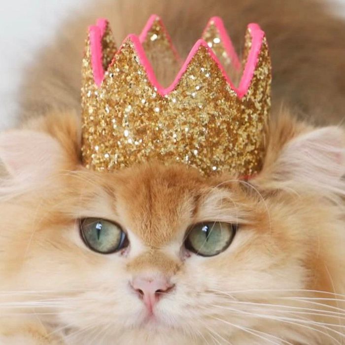 ※予約販売【MOSHIQA】Paris Collection Meta Cat Crown