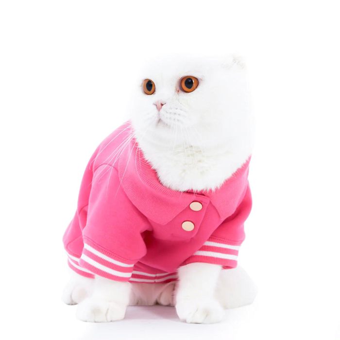 ※予約販売【MOSHIQA】Paris Collection Boss Babe Cat Sweatshirt