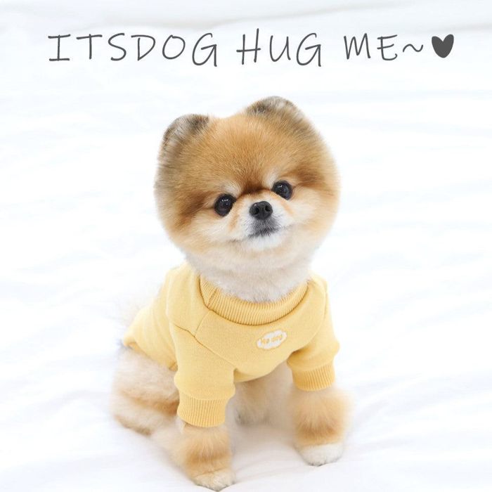 ※予約販売【ITS DOG】Hug Me Cotton Sweatshirt
