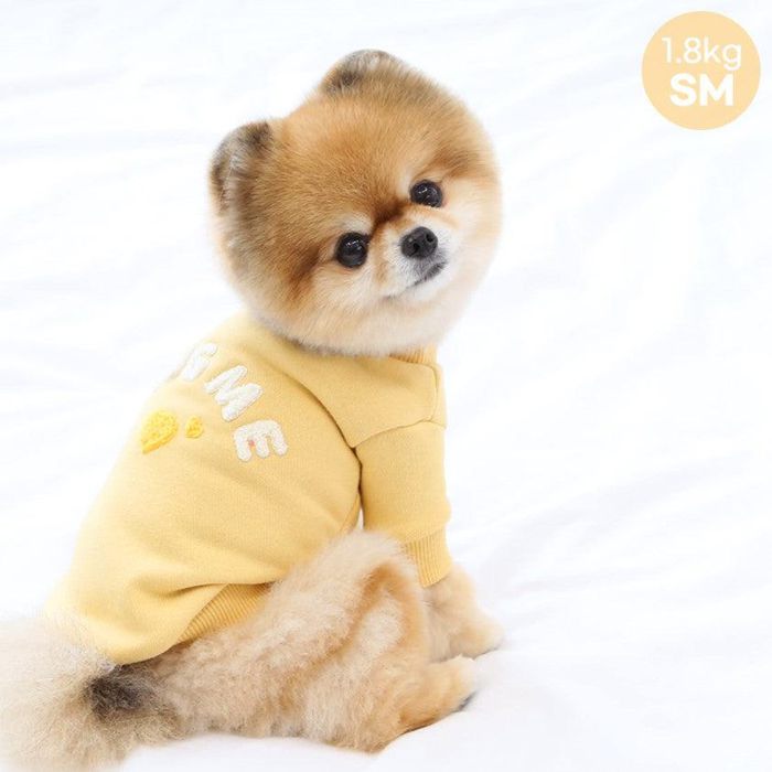 犬服　GE WARM BORDER Dog Sweater 犬服 GE WARM BORDER Dog Sweater