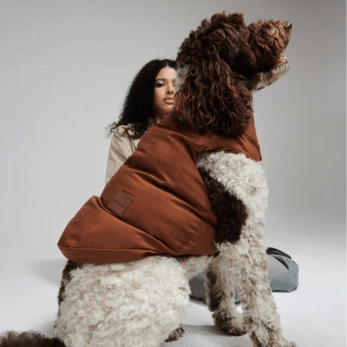 海外犬服 高品質なインポートのドッグウェア通販 