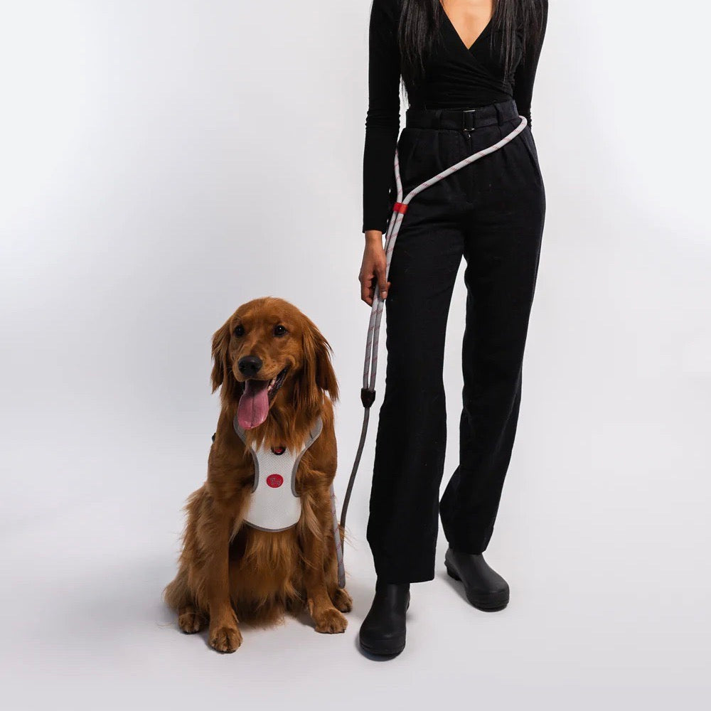 海外犬服 高品質なインポートのドッグウェア通販 