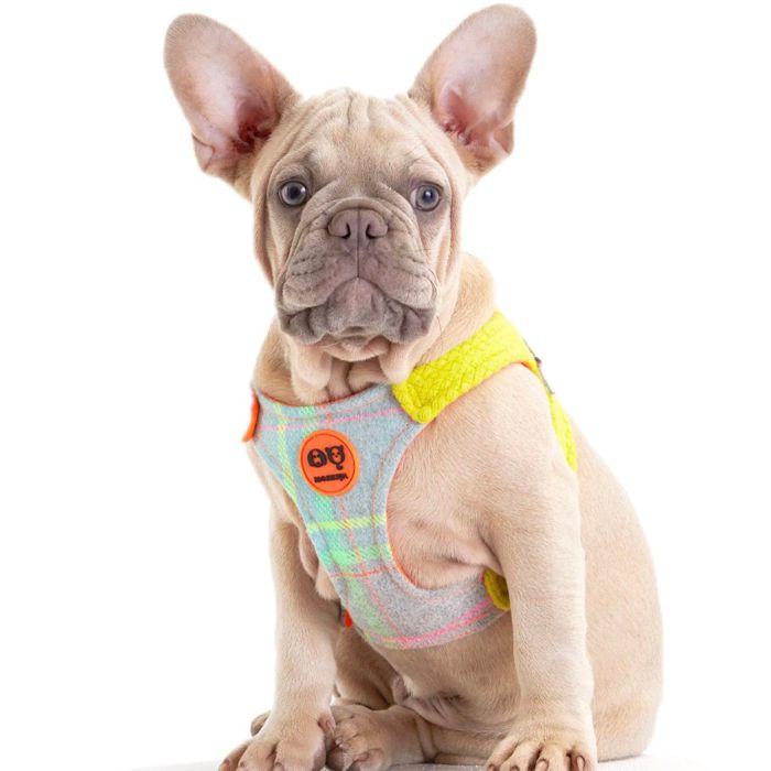 ※予約販売【MOSHIQA】Tartan Dog Harness