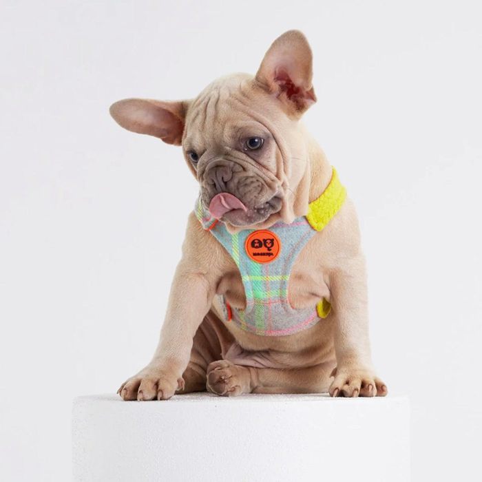 ※予約販売【MOSHIQA】Tartan Dog Harness