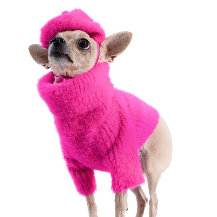 ※予約販売【MOSHIQA】Paris Collection Loves It Dog Sweater & Hat