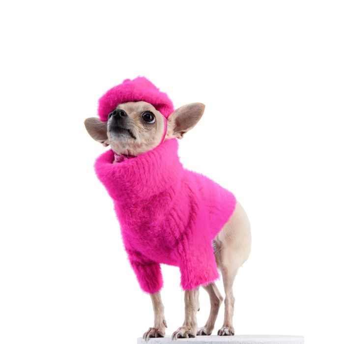 海外犬服 高品質なインポートのドッグウェア通販 