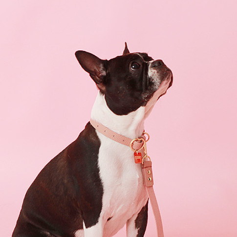 ※予約販売【maison de miu】 Heart Pendant Collar (Pink)