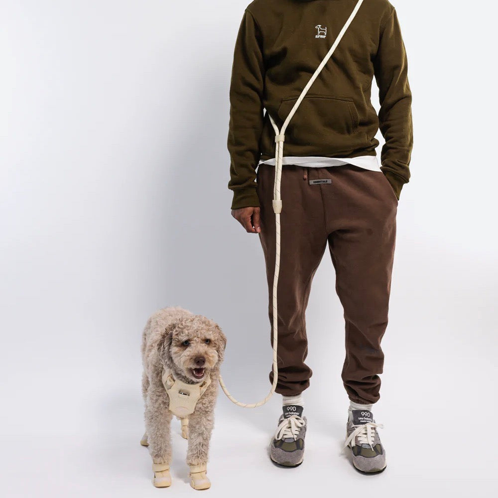 海外犬服 高品質なインポートのドッグウェア通販 
