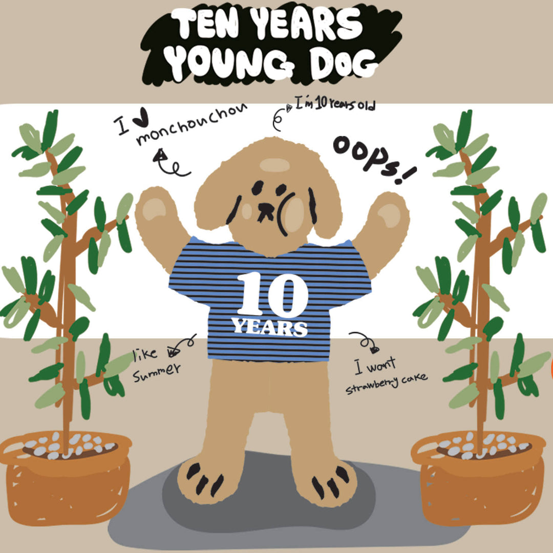 ※※予約販売【monchouchou】MCC 10th anniversary toy