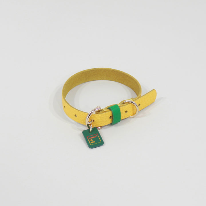 ※予約販売【maison de miu】Pet Collar (Yellow / Green)