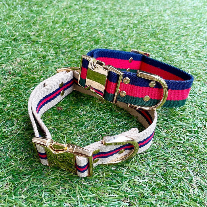 ※予約販売【HOSU】HOSU stripe dog collar(30mm)/Ivory×Red