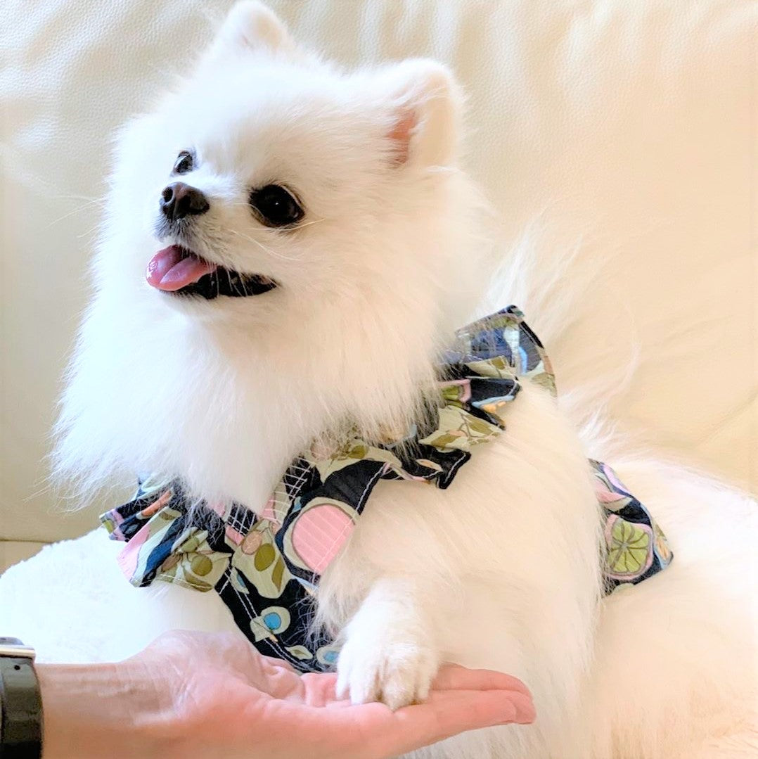 海外犬服 高品質なインポートのドッグウェア通販 